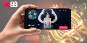 live-truc-tuyen-hap-dan-nhanh-chong