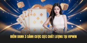 Điểm danh 3 sảnh cược cực chất lượng tại VIPWIN