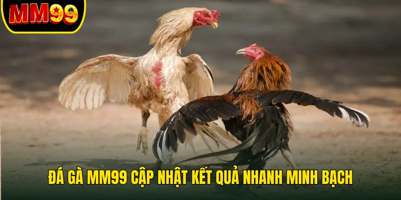 da-ga-mm99-cap-nhat-ket-qua-nhanh