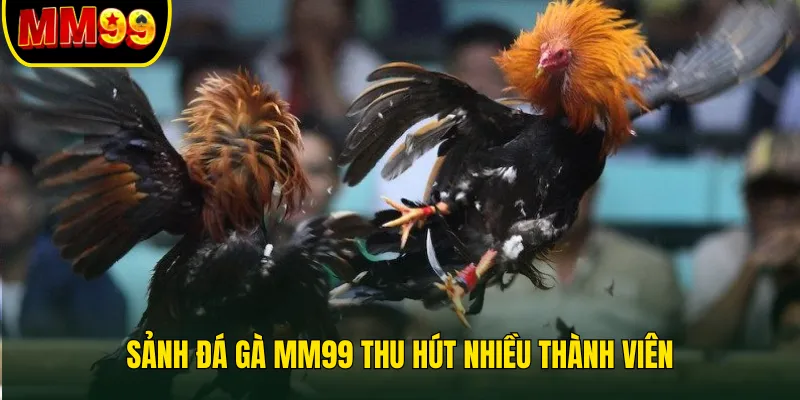 da-ga-mm99-thu-hut-nhieu-thanh-vien