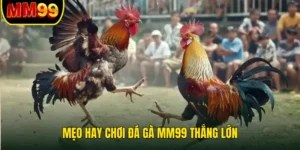 meo-hay-choi-da-ga-mm99-thang-lon